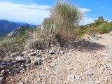 ALANYA GAZİPAŞADA SATILIK TARLA 