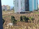 ARCADİA ANTİK ALANYA MAHMUTLAR SATILIK DAİRE