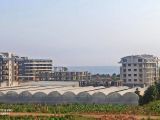 Alanya Kargıcak Satılık Daire	 